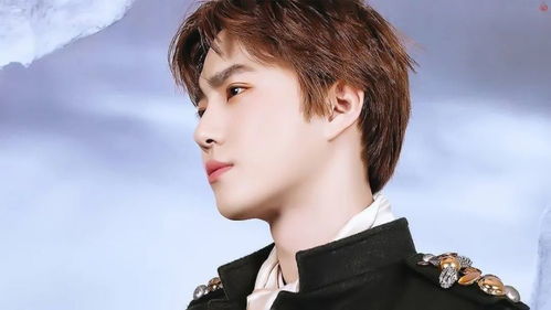 心動殺手 EXO電腦壁紙的溫柔“逮捕”